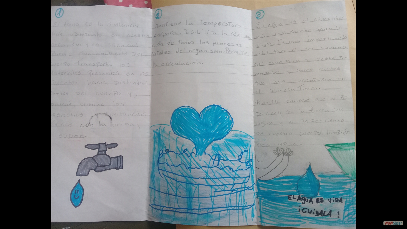 Esc 11 DE 5 - 20190828_153807